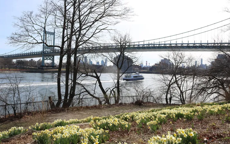 Spring flowers with a large bridge in the background 