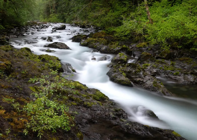 A creek flowing over and around a rocky streambed with soft milky water and mossy, green banks.