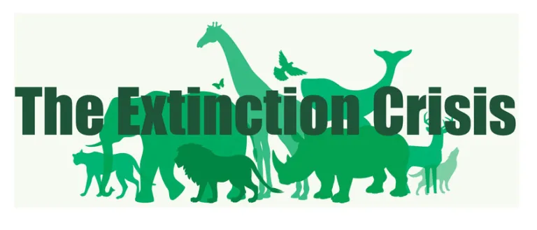 The extinction crisis