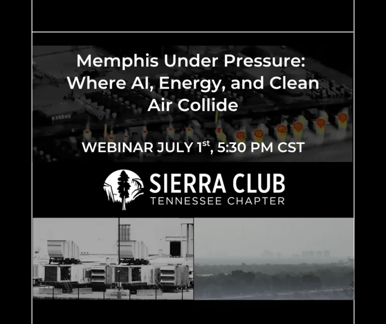 webinar invite
