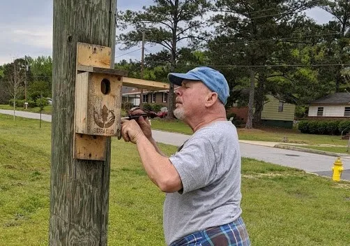 A Sierra Club volunteer inspects a bluebird box
