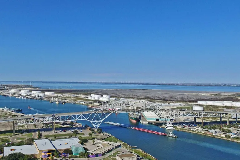 corpus