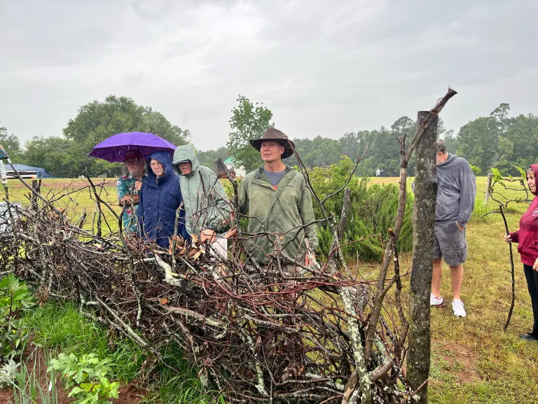 Sierrans walk through Redcliffe Plantation's Agri-Art Festival