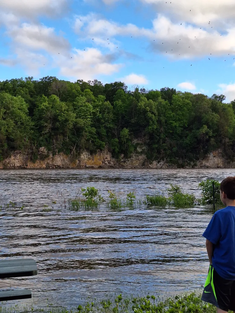 Cedar River flood, at Palisades-Kepler State Park