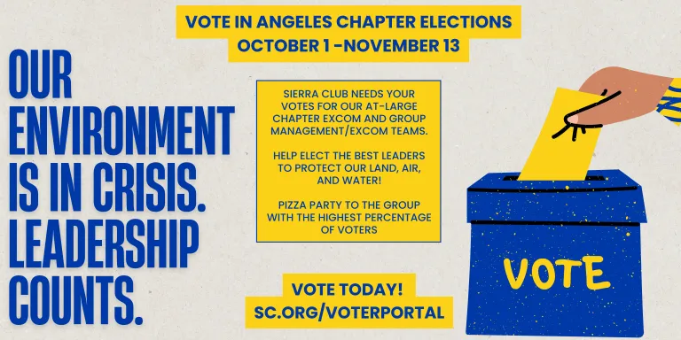 ExCom Elections Banner