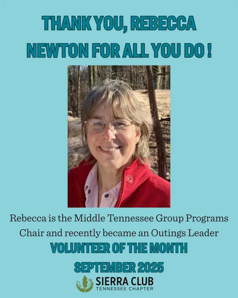 Volunteer of the Month, Rebecca Newton