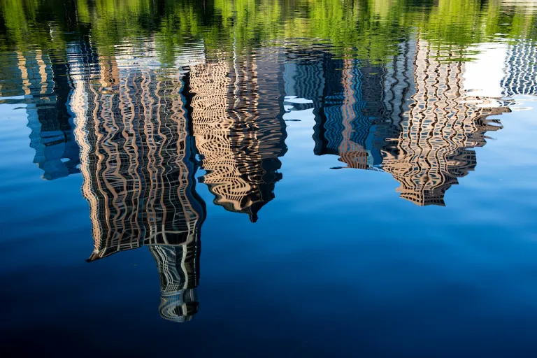 lady bird lake