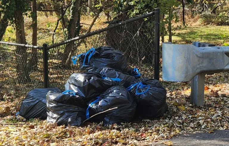 Brunswick Litter Cleanup 2025-11-01