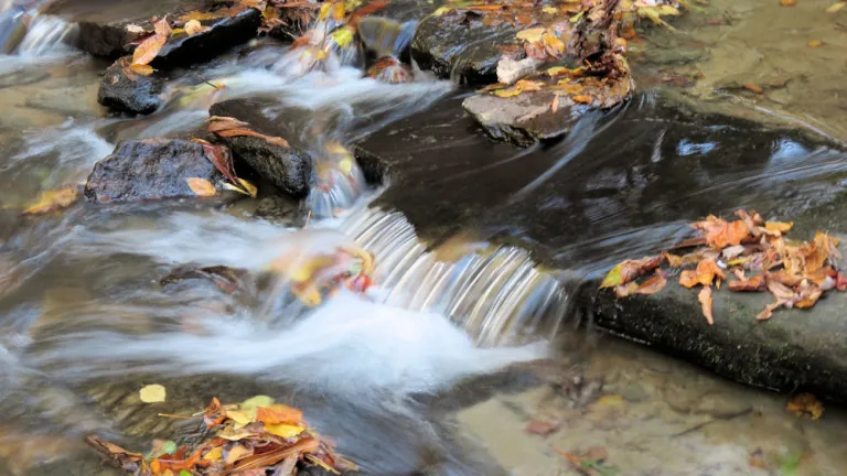 Autumn Flow