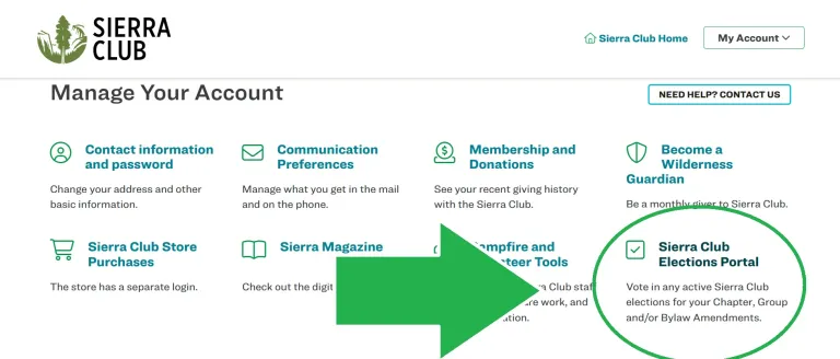 A screenshot of the MyAccount main page with a circle and arrow pointing out the elections link