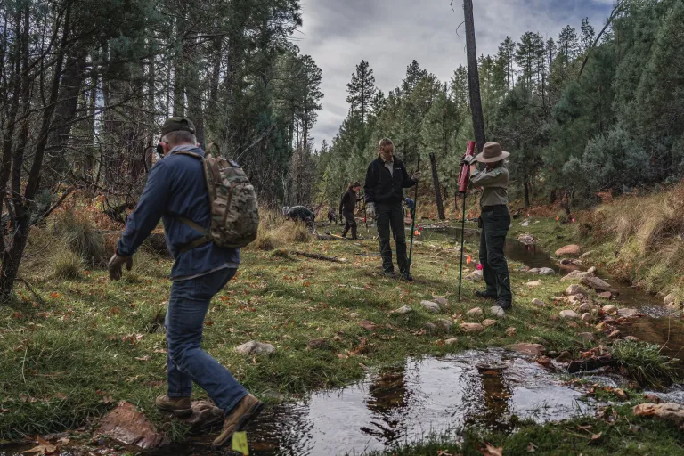 a group of volunteers in a lush green forest by a creek