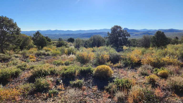 a landscape shot in the Prescott Valley