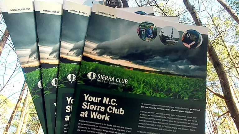 Copies of the NC Sierra Club's annual report are seen against a background of tree branches