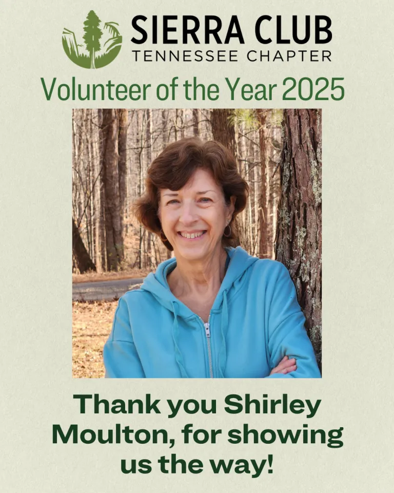 Volunteer of the Year Shirley Moulton
