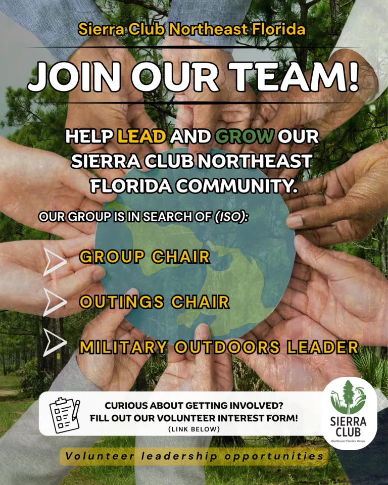 flyer for volunteers 