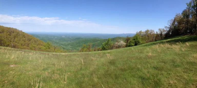 high meadow with mountain view