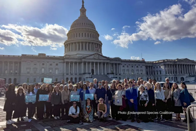 The 50 person lobbying team behind the Capital Building