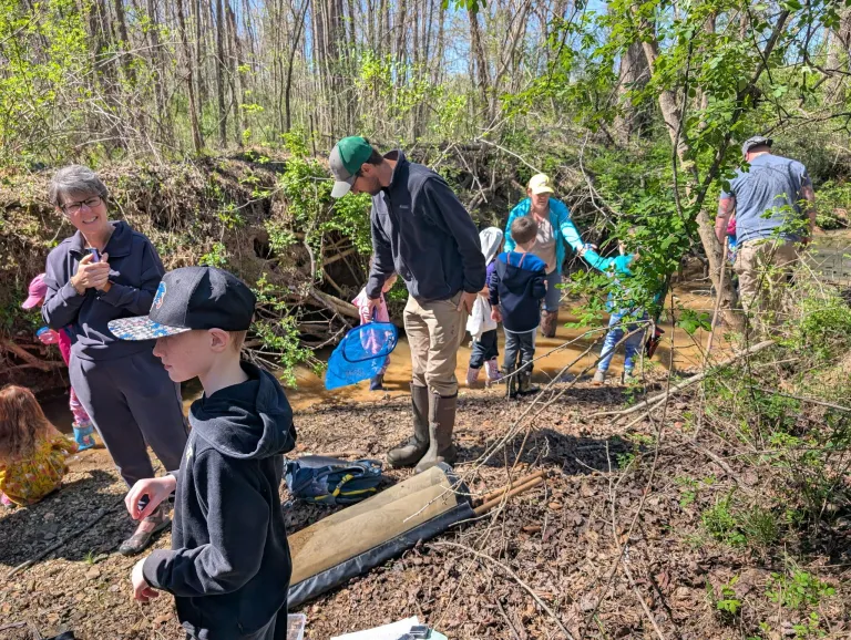 people exploring creek at bethania bottoms