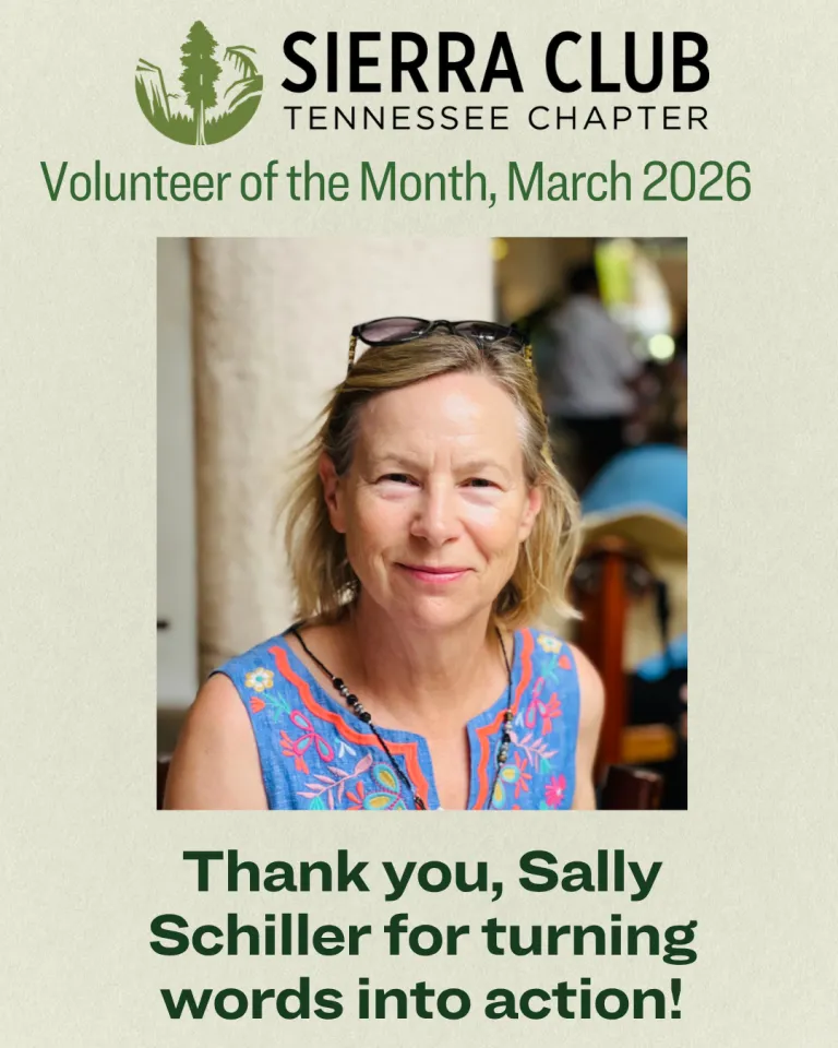 Sally Schiller March Volunteer of the Month