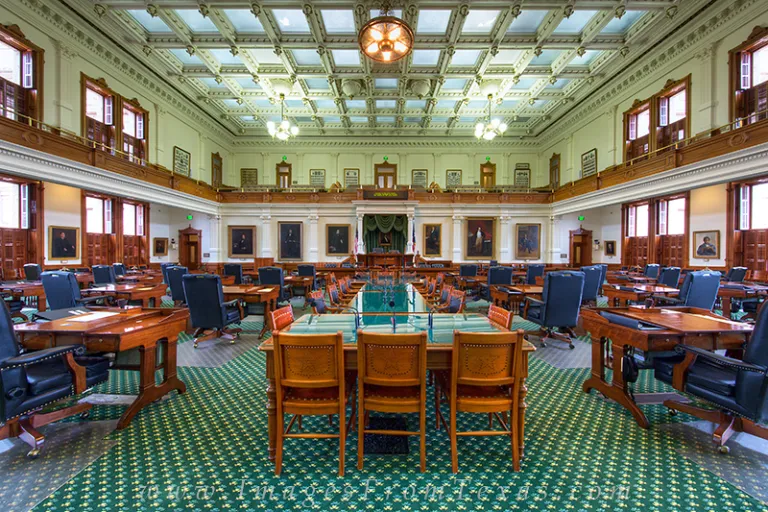texas senate chamber