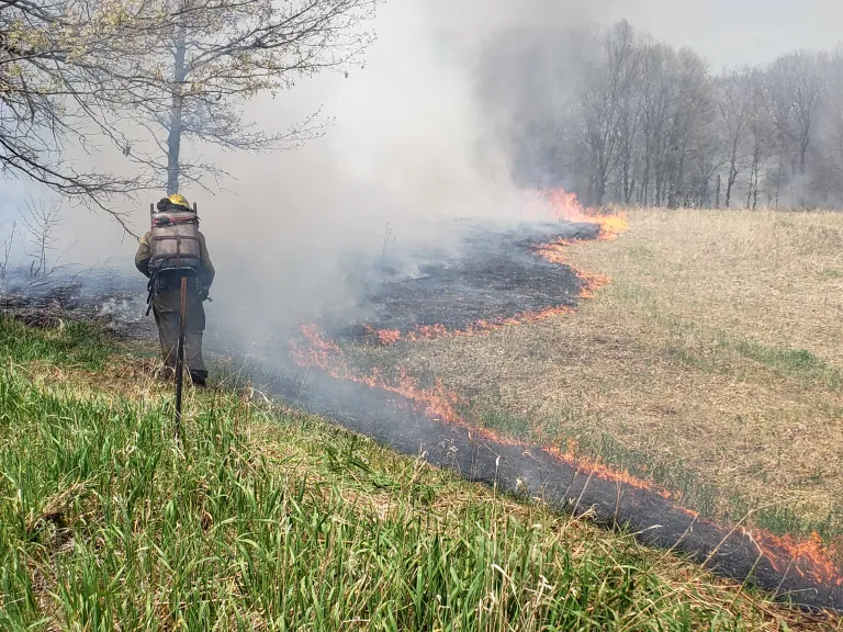Prairie Burn