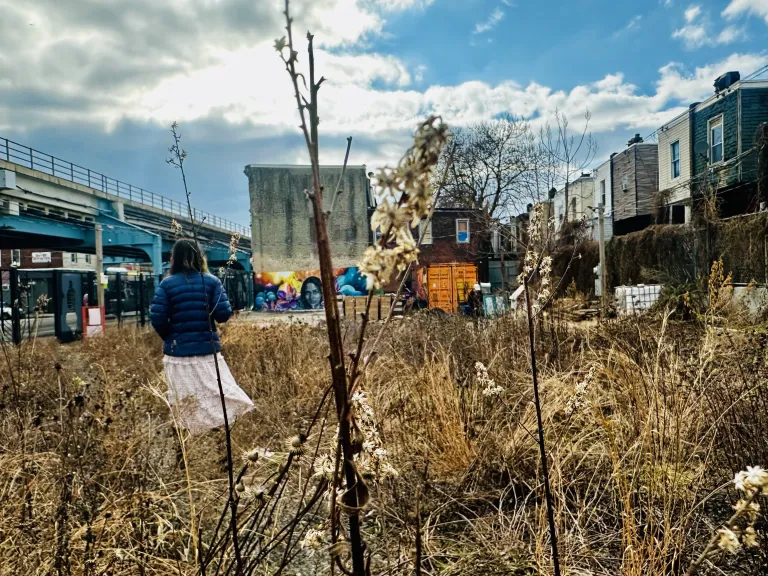 Attendees explore the Kensington Community Gardens during Sierra Club's outing.