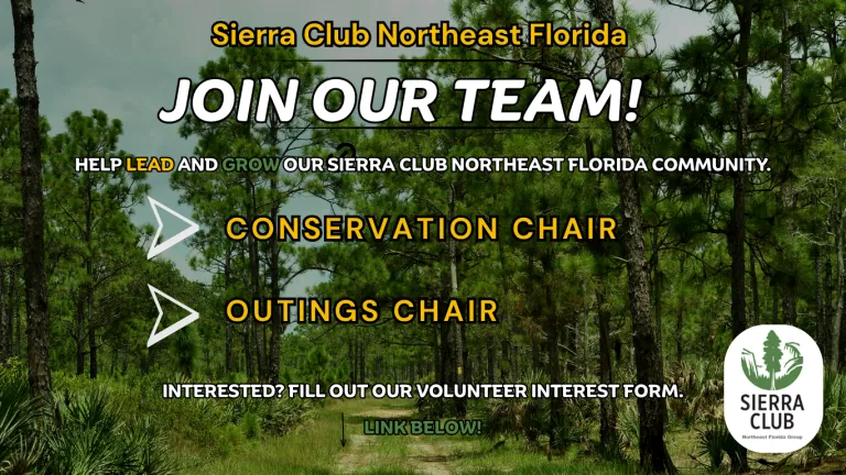join our team graphic 2