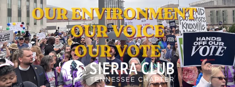 Redistricting Rally at the Capitol