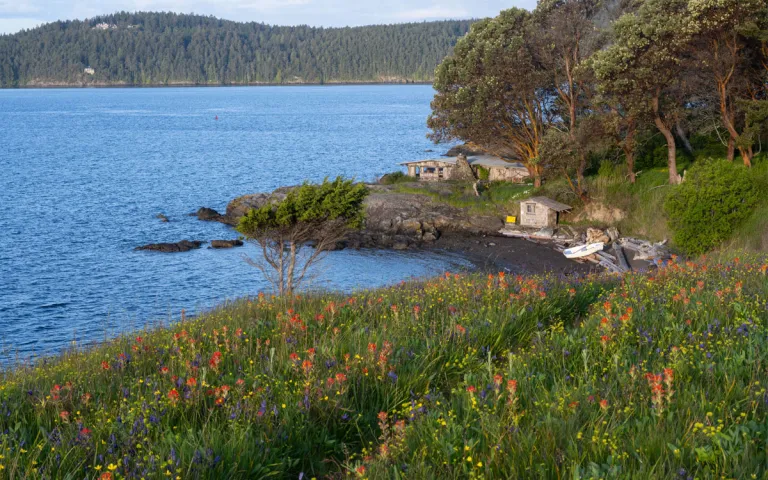 Though Quimbita is the sole occupant of Yellow Island, living in the home built by the island’s former owners, the small island is only a couple of kilometers from San Juan Island and is regularly visited by boaters. Photograph by Shanna Baker