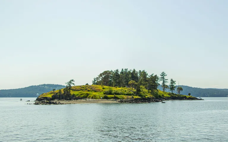 Yellow Island seen from the water.