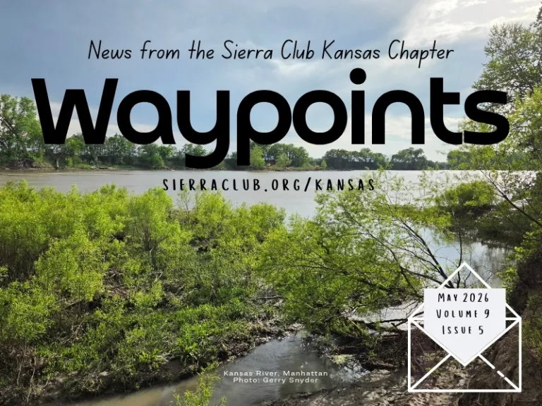 Waypoints Newsletter Header May 2026