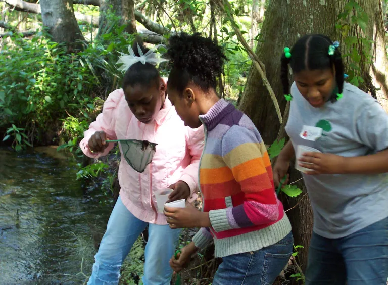 ICO kids inspecting river creatures