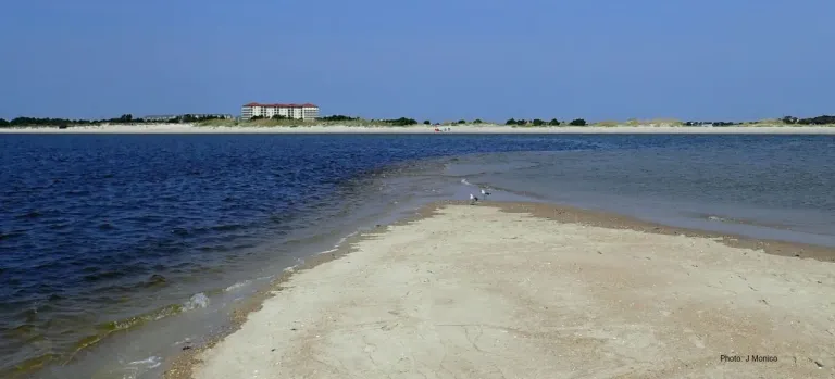 Bird Shoal Beach from Sand Dollar Island at low tide