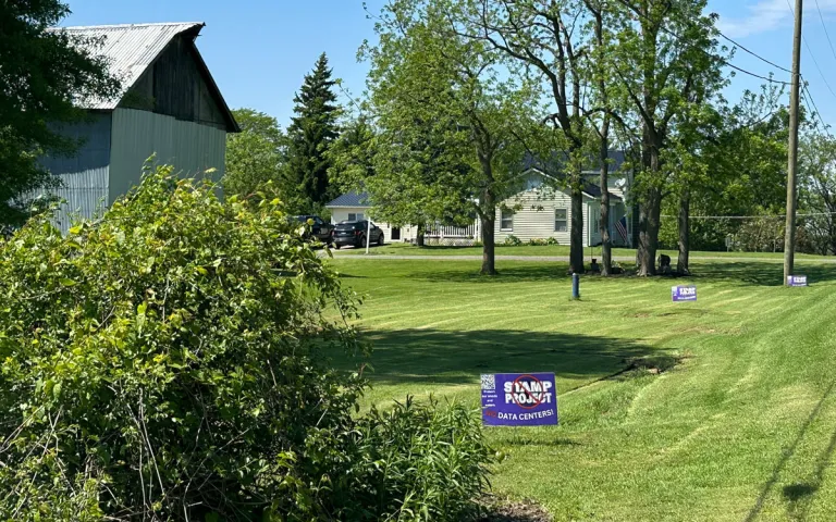 A residential street in the Town of Alabama, New York, lined with "Stop STAMP" lawn signs.