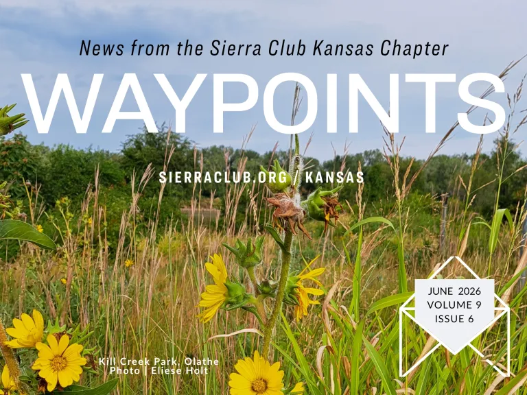 Waypoints June Header