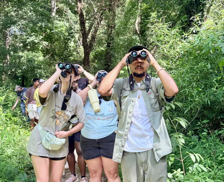 Birding Outing