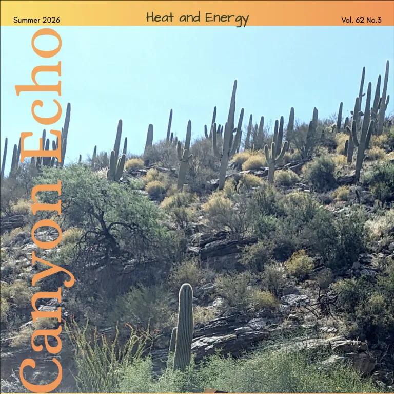 a hillside covered in Saguaro Cactus with the sun at high noon