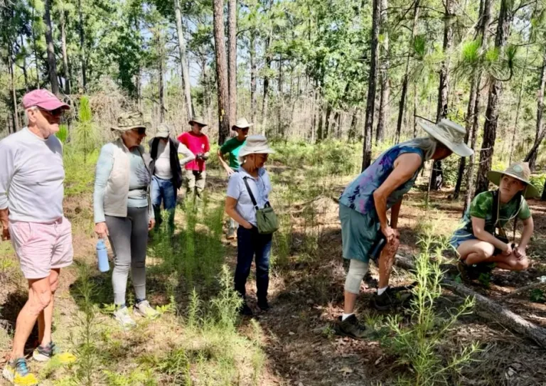 SRG Gopher Tortoise Outing