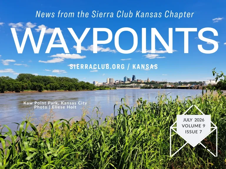 Waypoints July Header