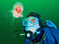 Fabien Cousteau, ocean explorer and Plant a Fish founder