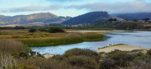 River with wetlands and hills in background