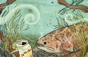 trout in a river with trash