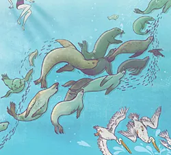dolphins