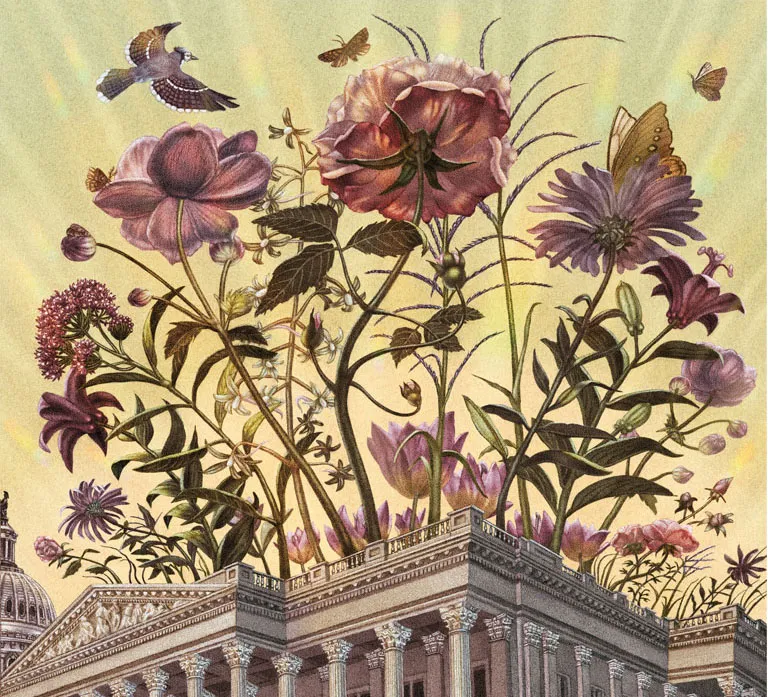 Illustration shows pink flowers growing out of a capitol building, with a bird and butterflies above.