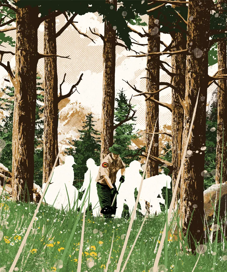 Illustration shows a tall forest with a California State Park worker maintaining a trail with grass and wildflowers. Several white silhouetted/invisible people work beside him.