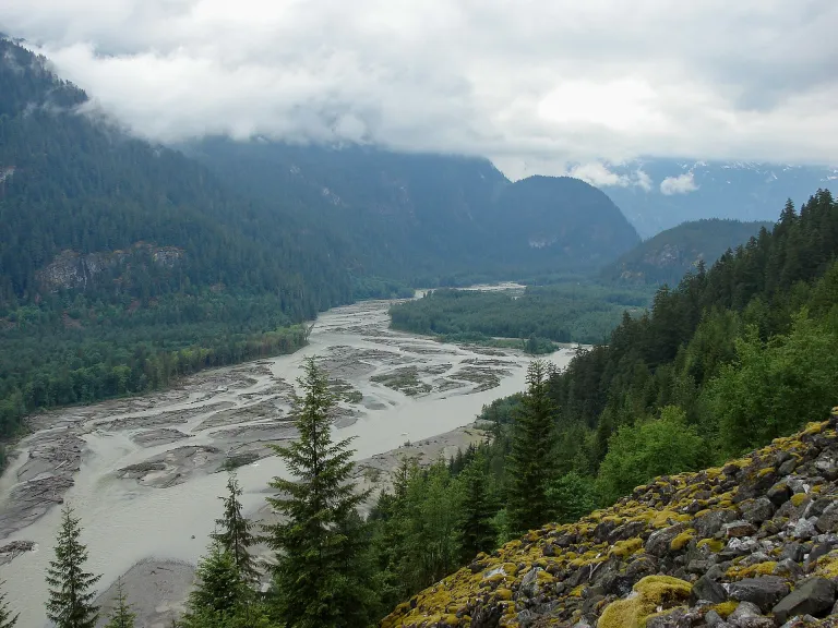 Squamish River Ponderosapine210