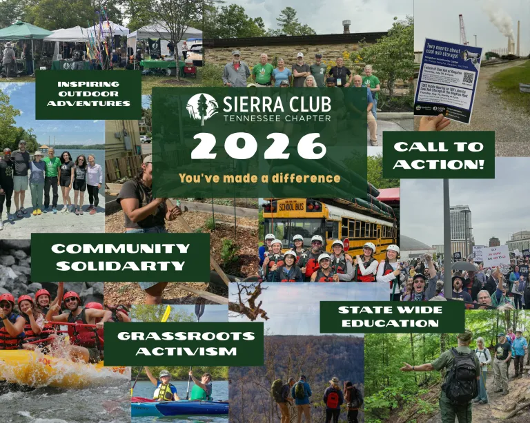 Collage of Sierra Club Achievements