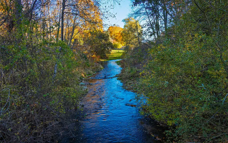 A restored tributary of a once dammed creek flows free. 