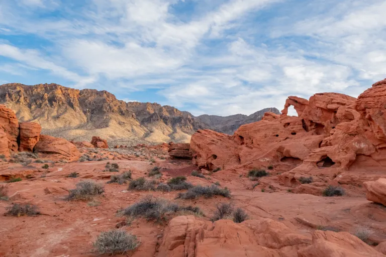 Valley of Fire Outing photo by Irene Yee showing reddish rocky landscape under blue sky