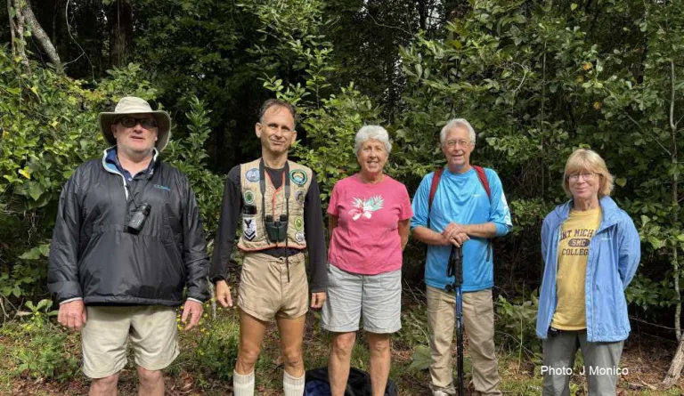 Cypress Group at Latham Whitehurst Nature Park, New Bern